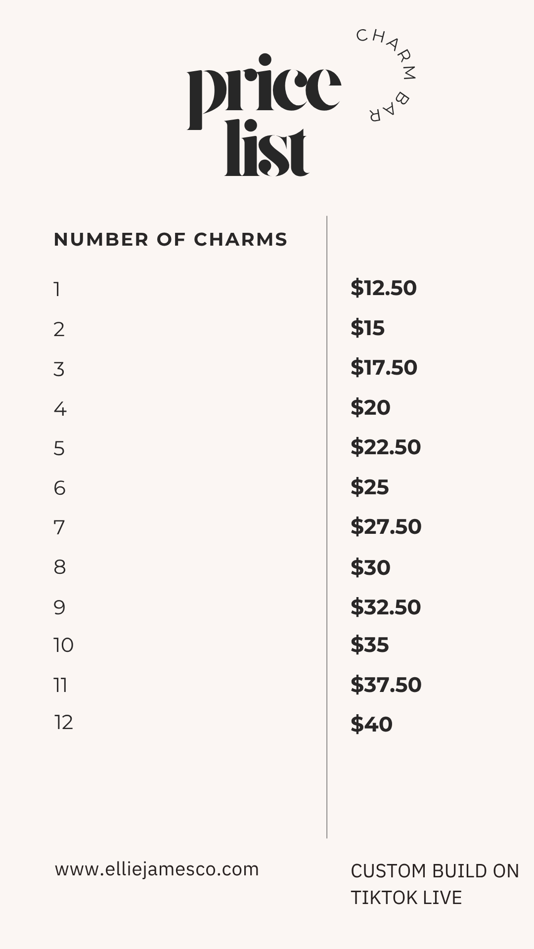 Charm Necklace