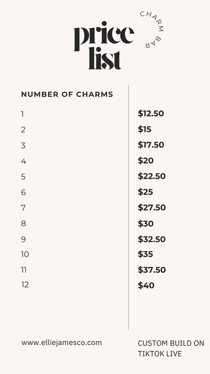 Charm Necklace